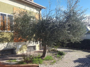 Appartement côte Adriatique Marotta